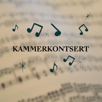 ЦИКЛ КАМЕРНЫХ КОНЦЕРТОВ ЛЕТО