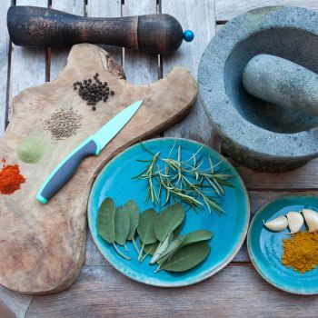 Дни Аптеки в Северном дворе