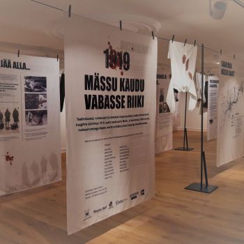 Выставка "Через мятеж к свободному государству"