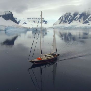 Выставка “Белый материк зовёт - морское путешествие адмирала Беллинсгаузена”