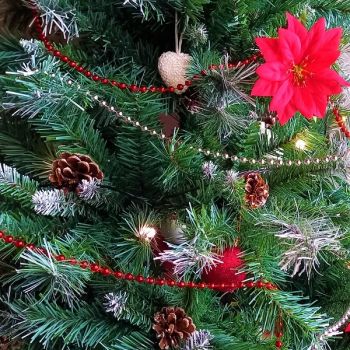 Праздничный обед в ресторане Rondeel copy