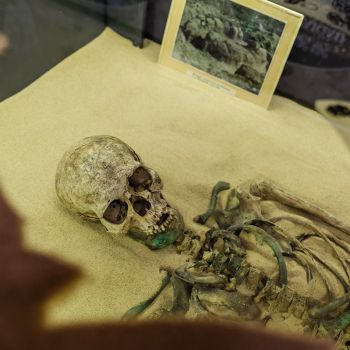 Loeng "Inimsäilmed Narva muuseumi kogus"