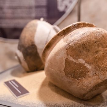 Демо-урок для учителей «Здравствуй, музей!» (Дошкольники/начальная школа)