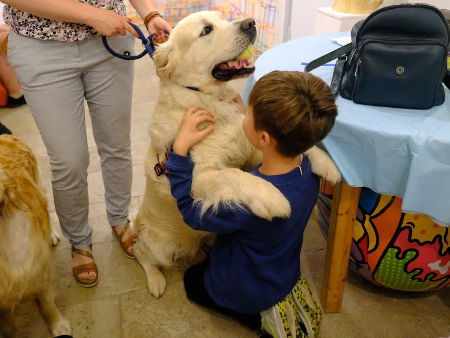 296003375_5650693764961961_8003878836055191116_n