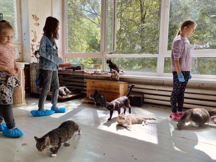 347430398_694178369389853_8958479860032899803_n