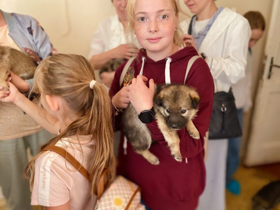 347415829_694178449389845_3650816462213854391_n