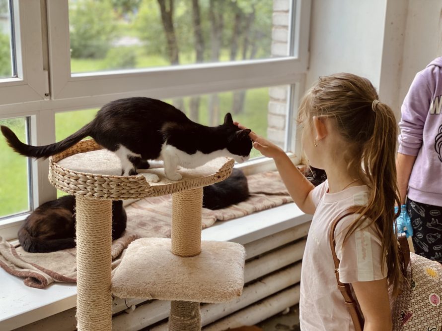 347430144_694178399389850_9029728656822077971_n