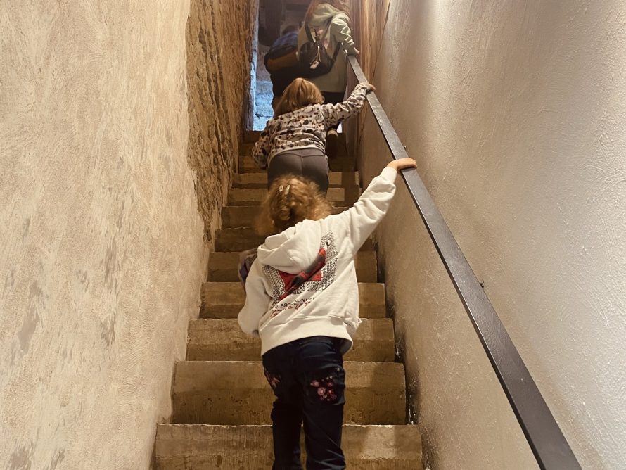 347440583_694179279389762_6671600281307684542_n