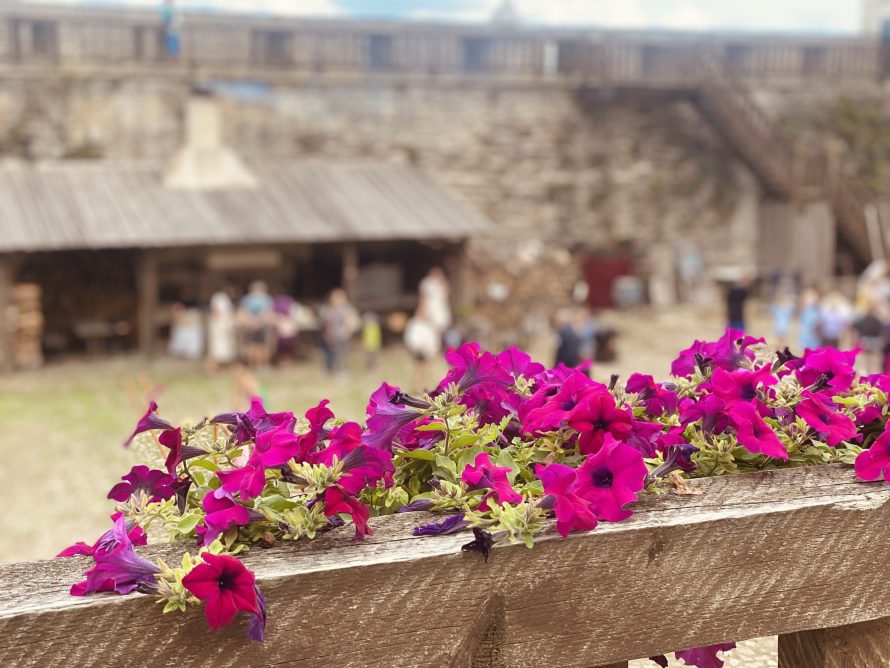 356203127_702800495194307_5630838087837407202_n