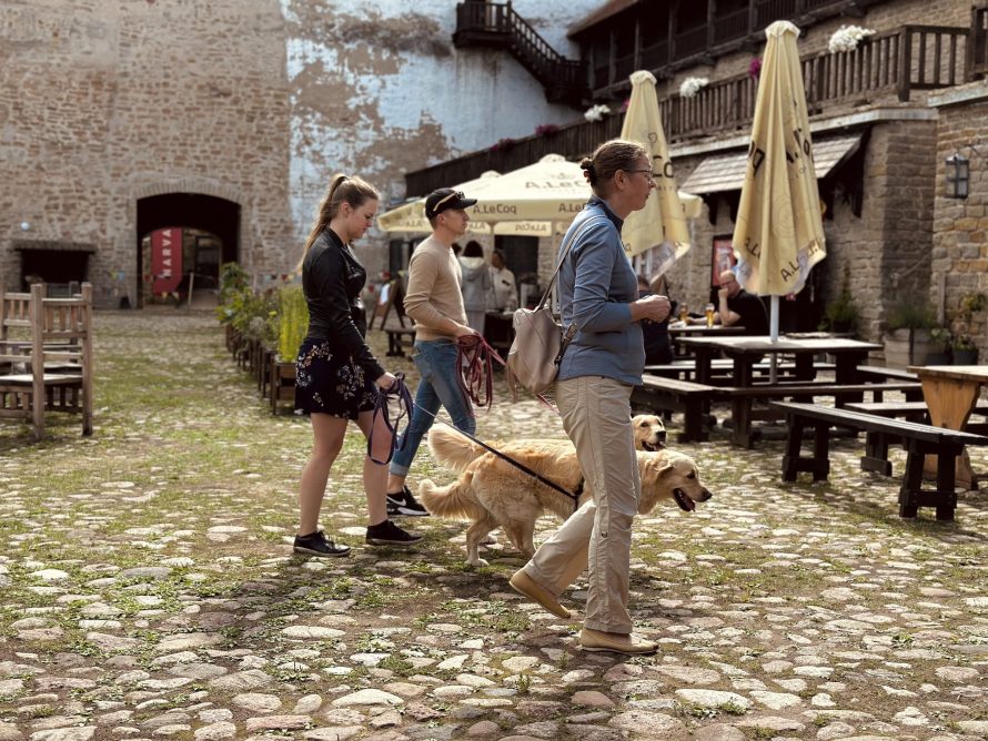 362628327_702801568527533_3626193420887602538_n