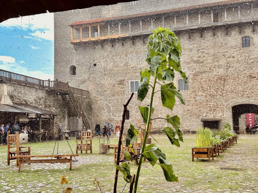 356206235_702800848527605_8079942226305992678_n