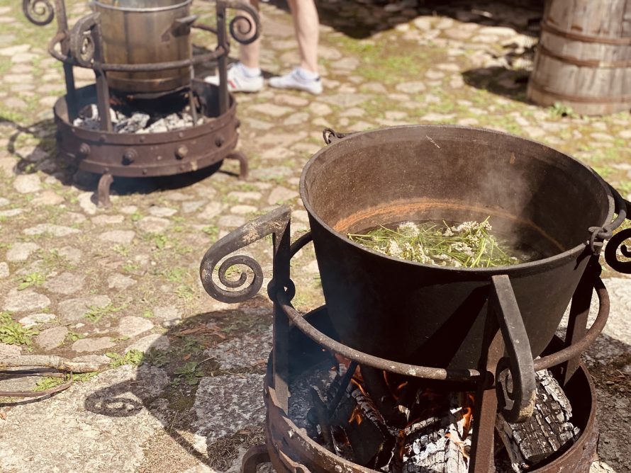 356211412_702799931861030_8559772035333469165_n