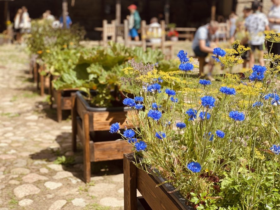 356216955_702800031861020_1715406677264809570_n