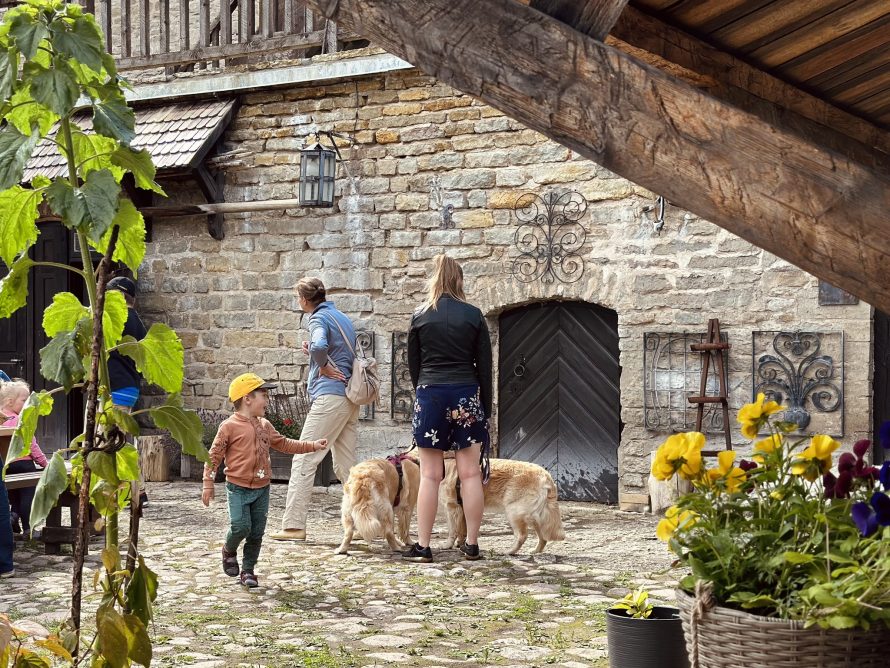 362671907_702801565194200_1516977515911790619_n