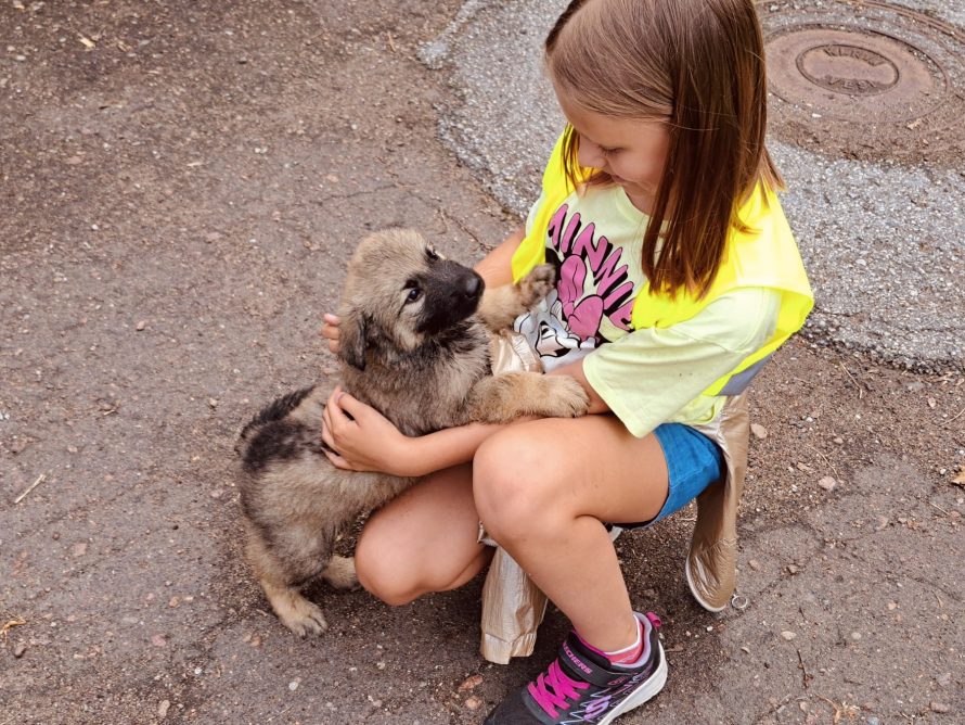 363829418_706230174851339_735682796199376615_n