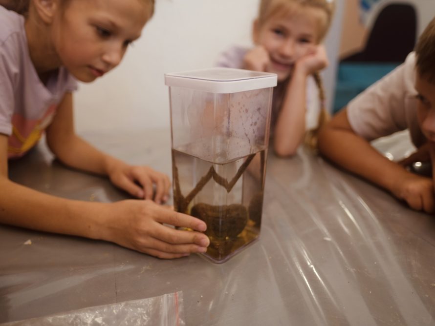 363315857_706231521517871_6125166969639827732_n