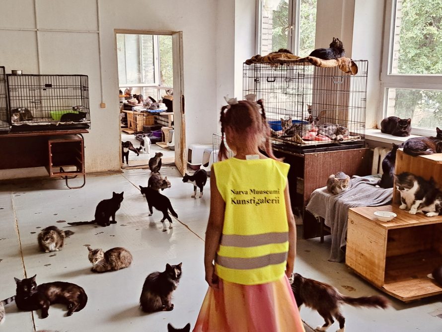 363781832_706230084851348_160248548682807732_n