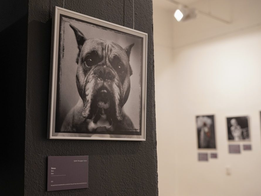 366339129_711633527644337_6377389833557113801_n