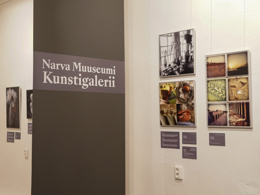 366368944_711633797644310_8520095572568444649_n