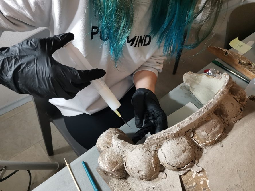 386592048_6738361386233001_1206469567778245867_n