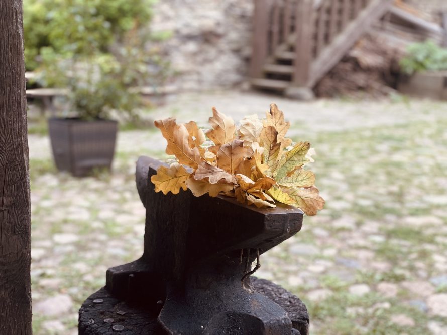 369613051_723016489839374_4046508550362607319_n