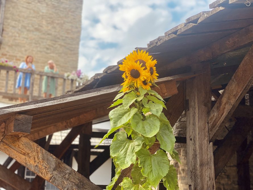 369661527_723018139839209_2424450582204801326_n