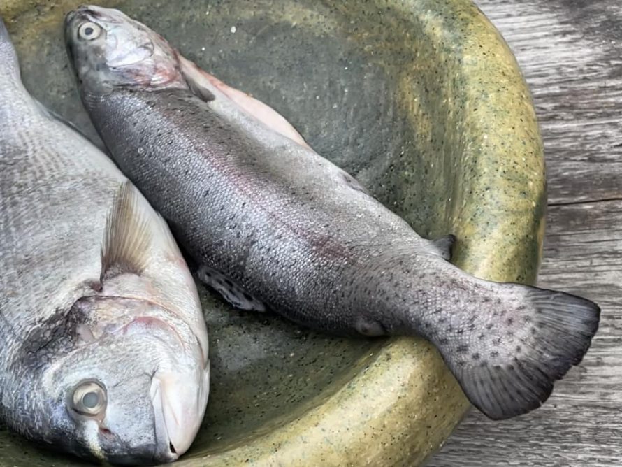 375928646_729522049188818_2495590947868343054_n