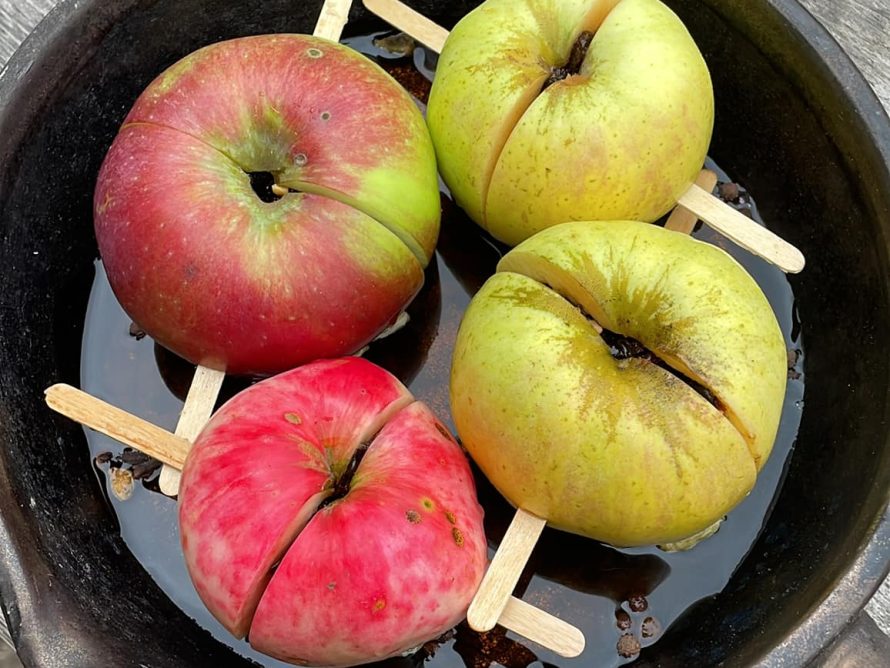 375041216_729522025855487_8238294071789342194_n