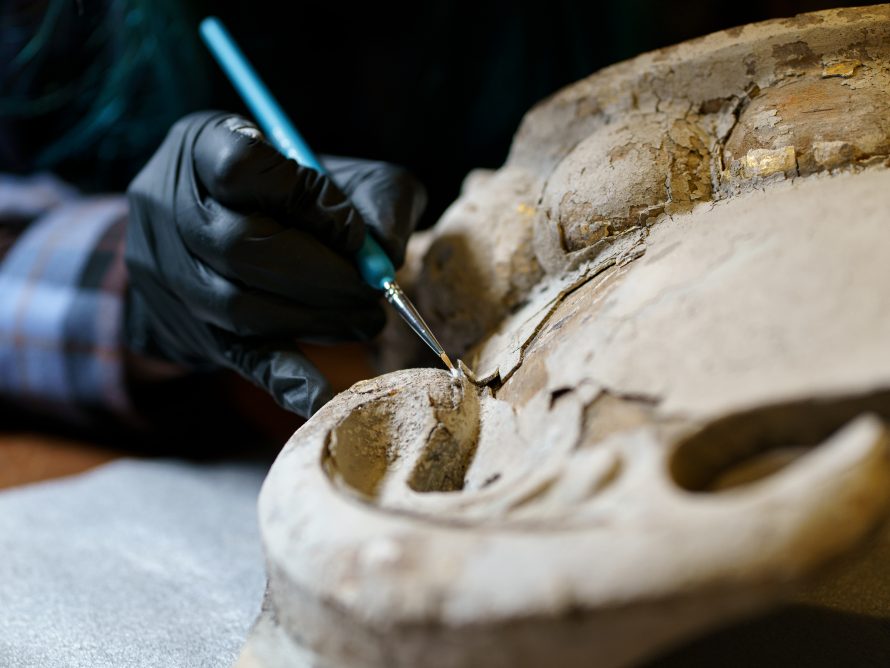 NarvaPuitbarokk2-095