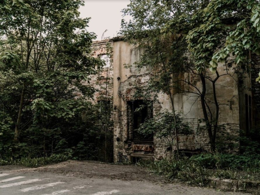 Masinaehitustehase varemed. Markova, Anna. 2021