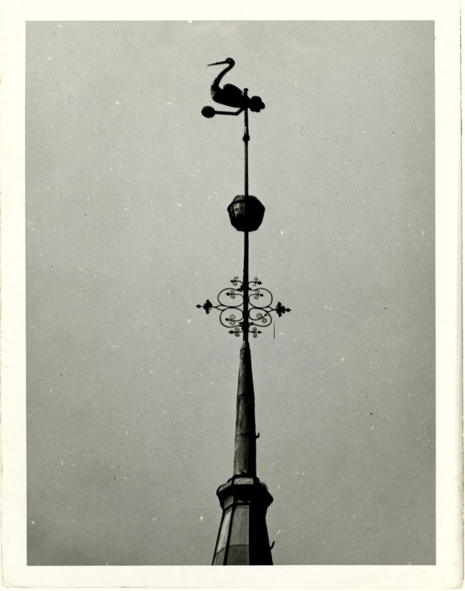 Crane-shaped Weather Vane installed on the spire of Narva Town Hall in 1671. The crane, as an allegory of vigilance, reminded the magistrate members meeting in the town hall to remain watchful and cautious. 1930–1940. Photo from the collection of Narva Museum.